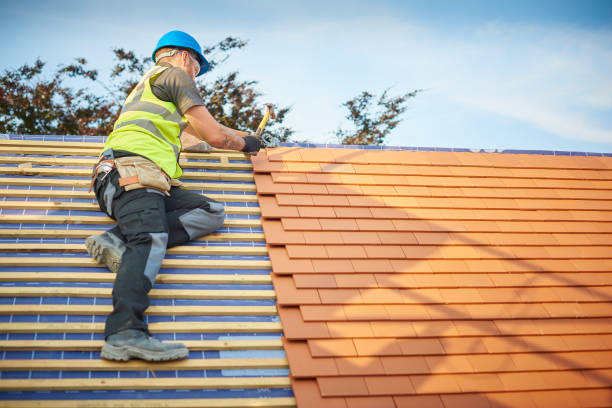 Best Rubber Roofing (EPDM, TPO)  in Walsenburg, CO